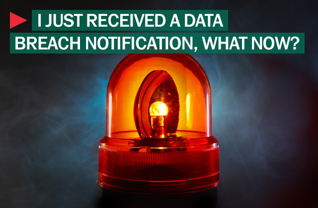 You Just Had A Data Breach. Now What?