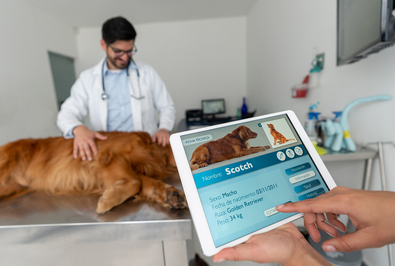 CenterGrid Solutions Optimize Veterinary Software in the Remote Work Era